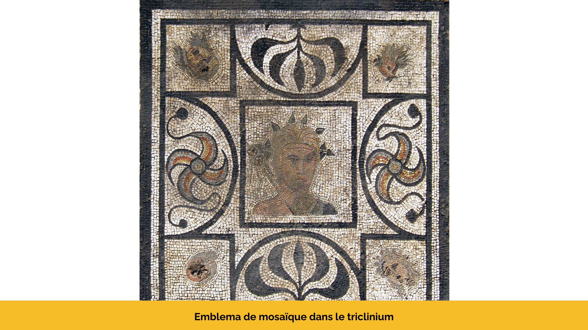 Mosaïque trouvée lors des fouilles archéologiques de la Villa Goiffieux à Saint-Laurent-d'Agny Image