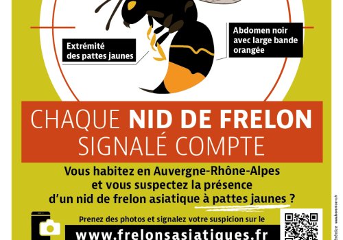 Lutte contre le frelon asiatique 