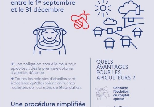 Déclaration des ruches