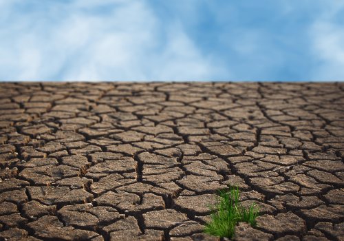 Alerte sécheresse dans le Rhône